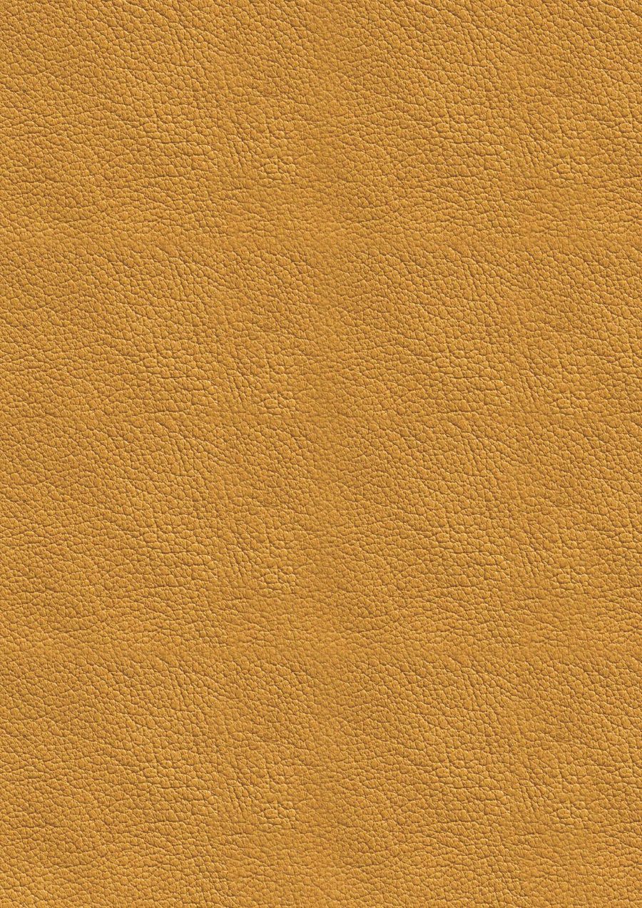 Acabamentos Orange metal-free leather 